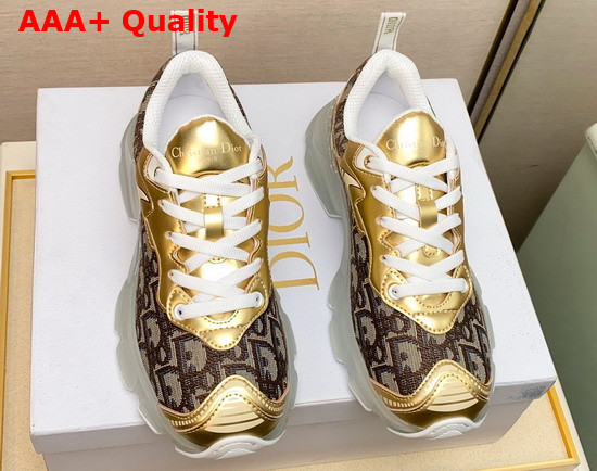 Dior Vibe Sneaker Coffee Dior Oblique Jacquard Canvas and Gold Calfskin Replica