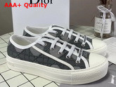 Dior Walk n Dior Sneaker Gray Cannage Embroidered Metalllic Cotton Replica