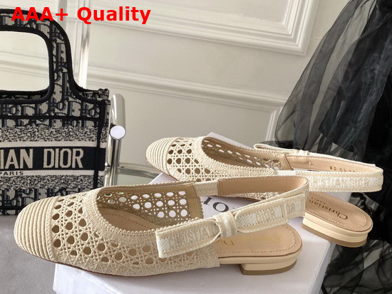 Dior and Moi Slingback Ballerina Flat Beige Cannage Embroidered Mesh Replica