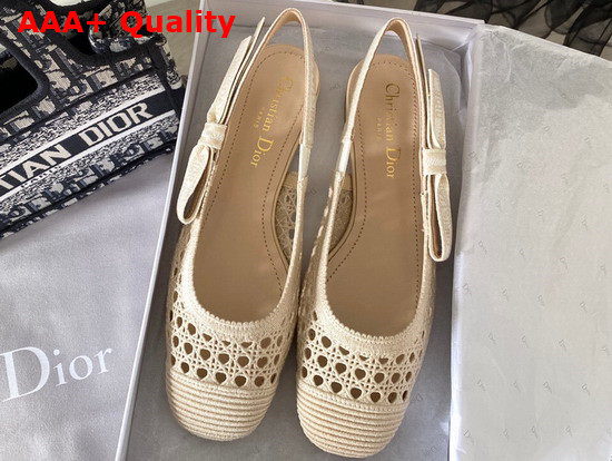 Dior and Moi Slingback Ballerina Flat Beige Cannage Embroidered Mesh Replica