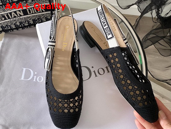 Dior and Moi Slingback Ballerina Flat Black Cannage Embroidered Mesh Replica