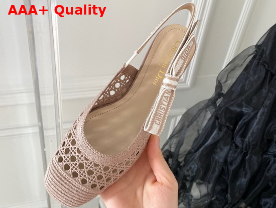 Dior and Moi Slingback Ballerina Flat Nude Cannage Embroidered Mesh Replica