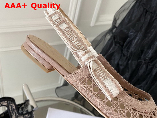 Dior and Moi Slingback Ballerina Flat Nude Cannage Embroidered Mesh Replica