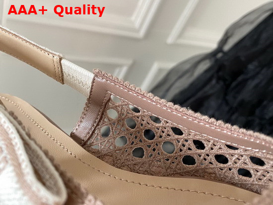 Dior and Moi Slingback Ballerina Flat Nude Cannage Embroidered Mesh Replica