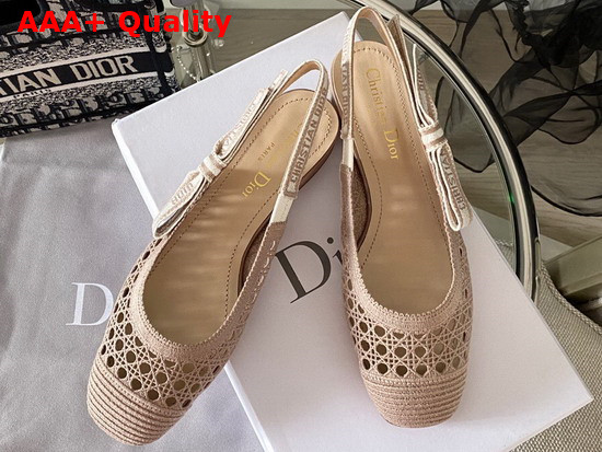 Dior and Moi Slingback Ballerina Flat Nude Cannage Embroidered Mesh Replica