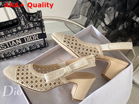 Dior and Moi Slingback Pump Beige Cannage Mesh Embroidery Replica