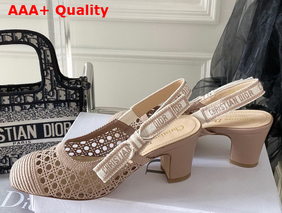 Dior and Moi Slingback Pump Nude Cannage Mesh Embroidery Replica