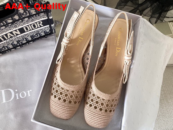 Dior and Moi Slingback Pump Nude Cannage Mesh Embroidery Replica