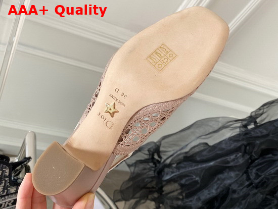 Dior and Moi Slingback Pump Nude Cannage Mesh Embroidery Replica