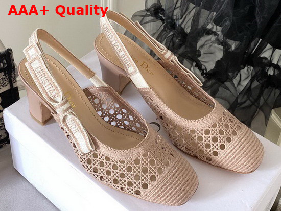 Dior and Moi Slingback Pump Nude Cannage Mesh Embroidery Replica