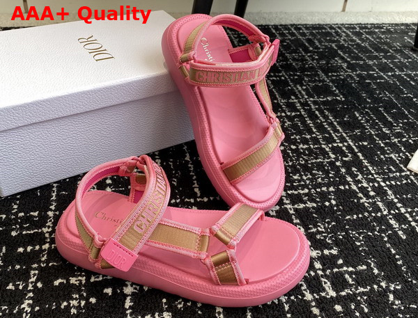 Dioriviera D Wave Sandal Natural Raffia and Candy Pink Embroidered Cotton Replica