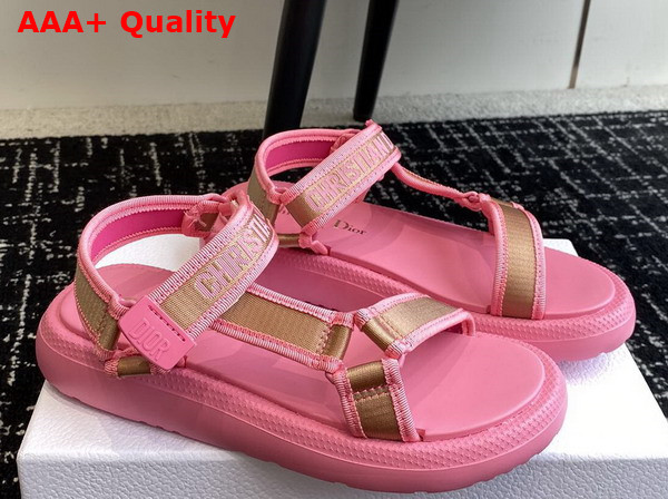 Dioriviera D Wave Sandal Natural Raffia and Candy Pink Embroidered Cotton Replica