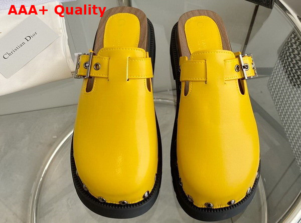 Diorquake Clog Yellow Calfskin Replica