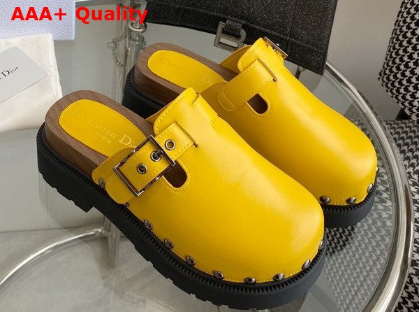 Diorquake Clog Yellow Calfskin Replica