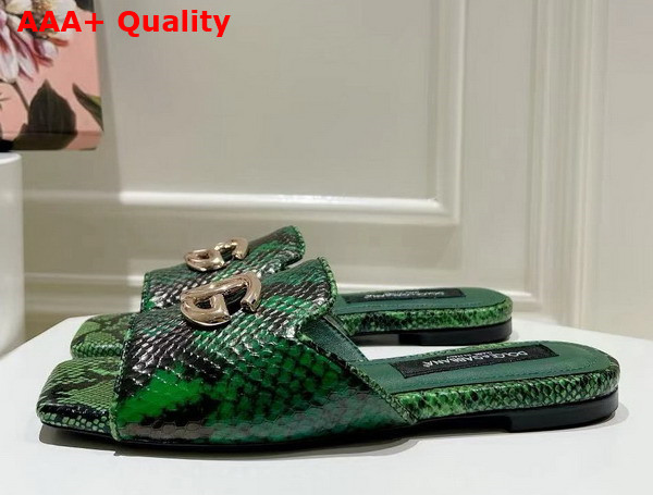 Dolce Gabbana Python Skin Slides with DG Logo in Green Replica