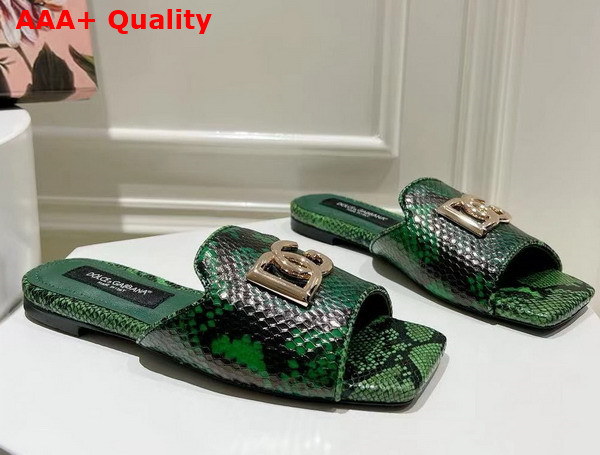 Dolce Gabbana Python Skin Slides with DG Logo in Green Replica