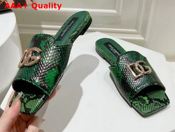 Dolce Gabbana Python Skin Slides with DG Logo in Green Replica