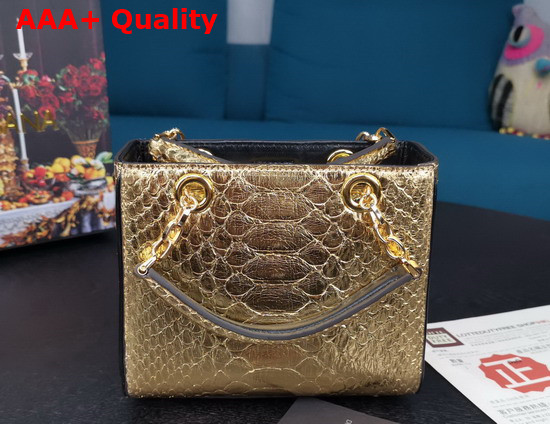 Dolce Gabbana Small DG Girls in Gold Python Skin Replica