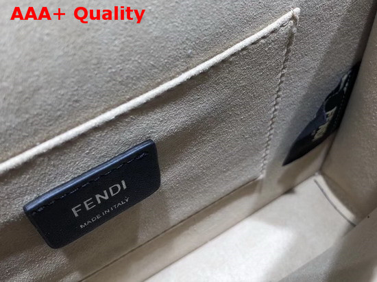 Fendi Kan I Bag with Small Bows in Brown Replica