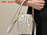 Fendi Mon Tresor Two Toned Perforated Leather Mini Bag Replica