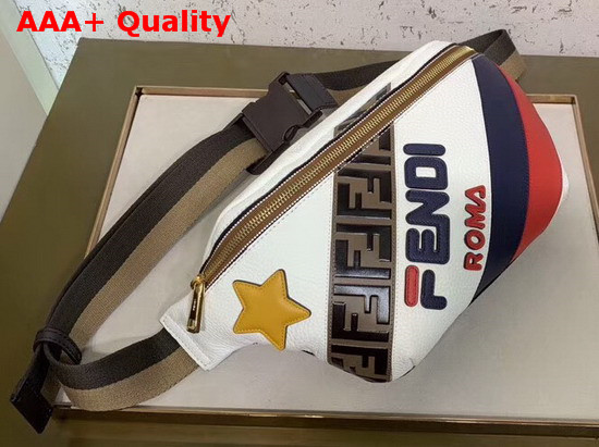 Fendi Multicolor Leather Belt Bag Replica