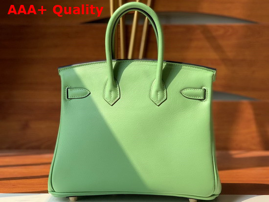 Hermes Birkin 25 Apple Green Swift Calfskin Hand Stitching Replica