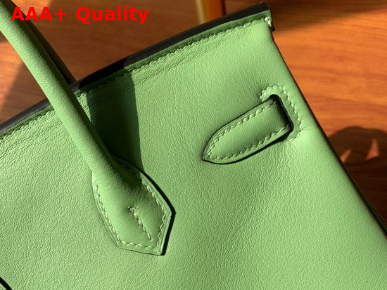 Hermes Birkin 25 Apple Green Swift Calfskin Hand Stitching Replica