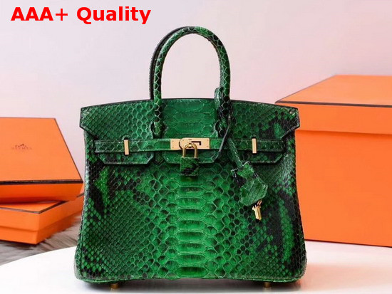 Hermes Birkin 25 Bag Green Python Replica