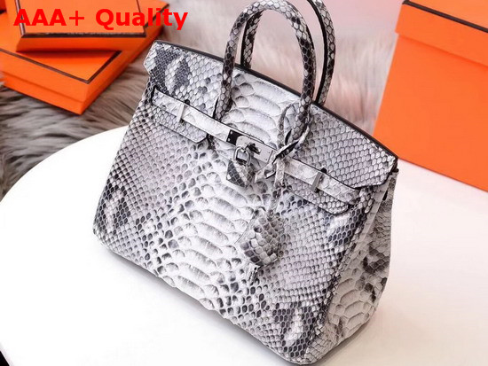 Hermes Birkin 25 Bag Grey Python Replica