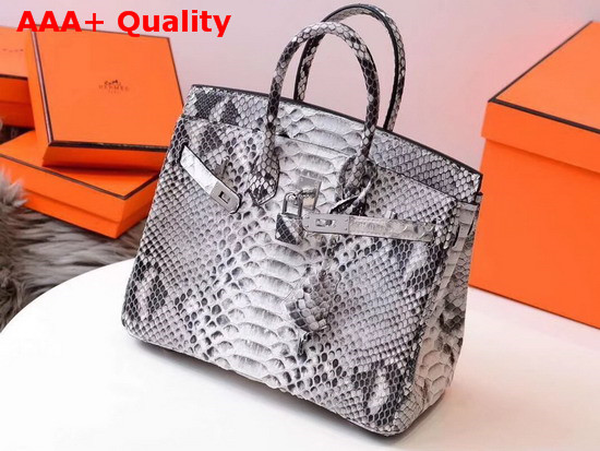 Hermes Birkin 25 Bag Grey Python Replica