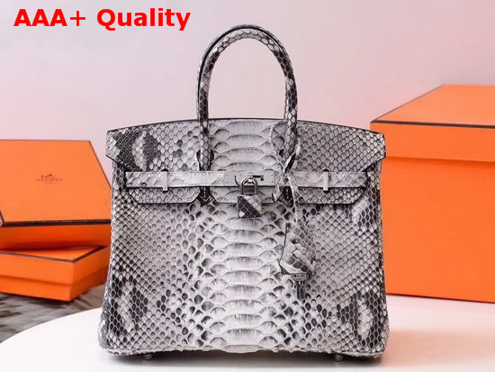 Hermes Birkin 25 Bag Grey Python Replica