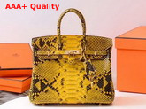 Hermes Birkin 25 Bag Yellow Python Replica