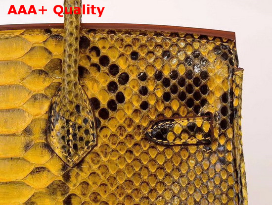 Hermes Birkin 25 Bag Yellow Python Replica