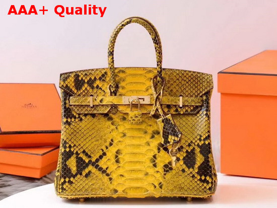 Hermes Birkin 25 Bag Yellow Python Replica