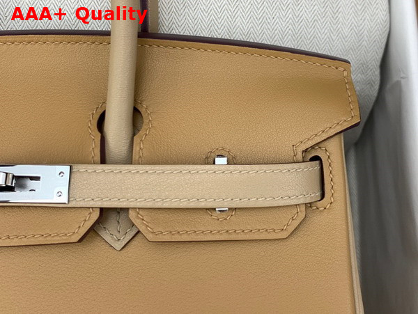 Hermes Birkin 25 Contrast Color Swift Calfskin Replica