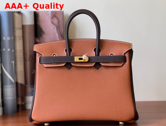 Hermes Birkin 25 Contrast Color Togo Calfskin Gold and Chocolate Hand Stitching Replica