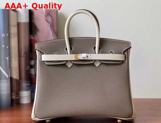 Hermes Birkin 25 Contrast Color Togo Calfskin Gray and Milk White Hand Stitching Replica