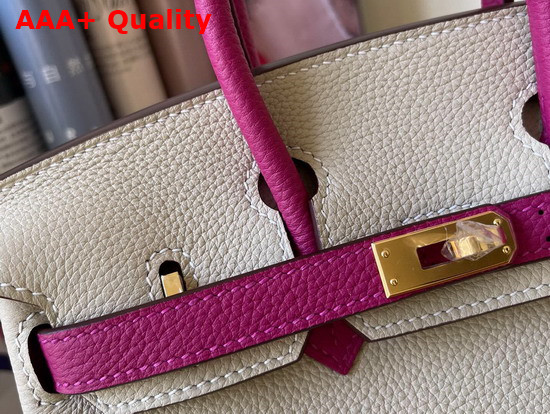 Hermes Birkin 25 Contrast Color Togo Calfskin Milk White and Light Purple Hand Stitching Replica