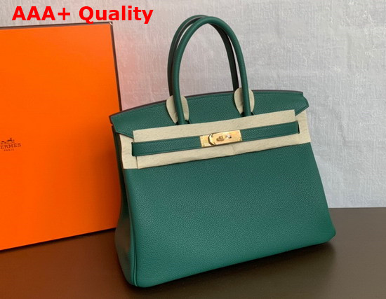 Hermes Birkin 25 Forest Green Togo Calfskin Replica