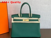 Hermes Birkin 25 Forest Green Togo Calfskin Replica