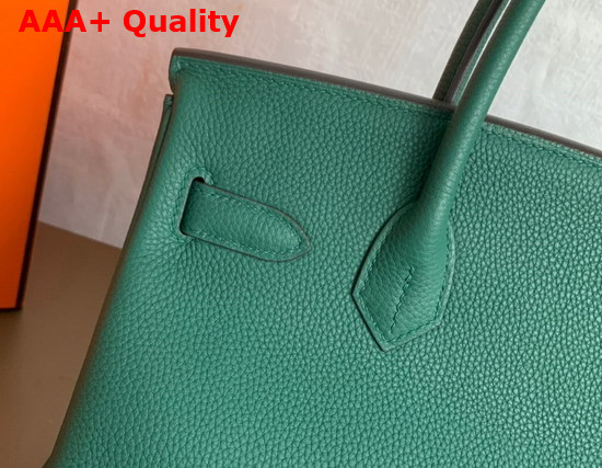 Hermes Birkin 25 Forest Green Togo Calfskin Replica