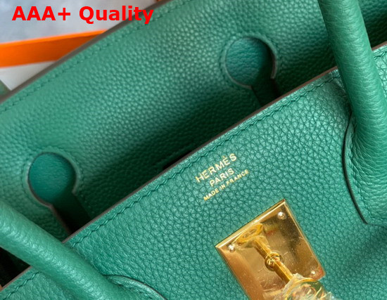 Hermes Birkin 25 Forest Green Togo Calfskin Replica