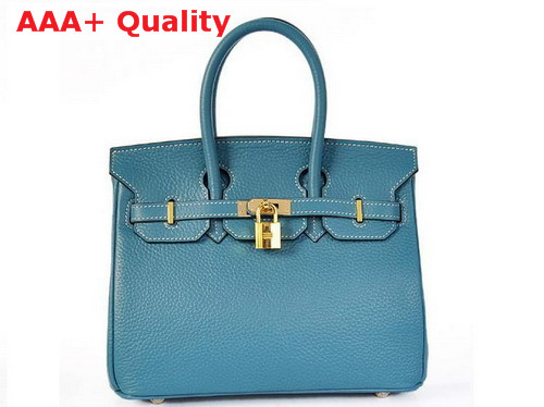 Hermes Birkin 25 Light Blue Gold Replica