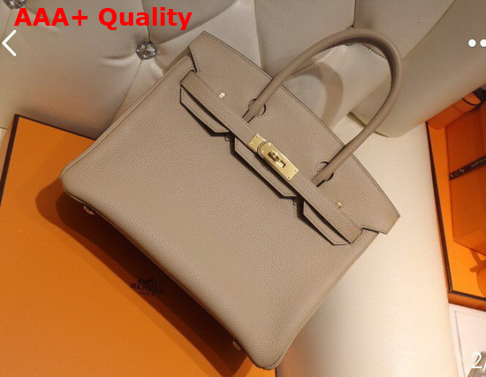 Hermes Birkin 25 Light Grey Togo Calfskin Replica