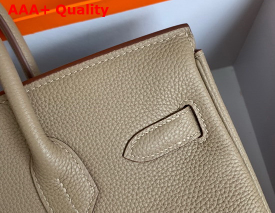 Hermes Birkin 25 Light Grey Togo Calfskin Replica