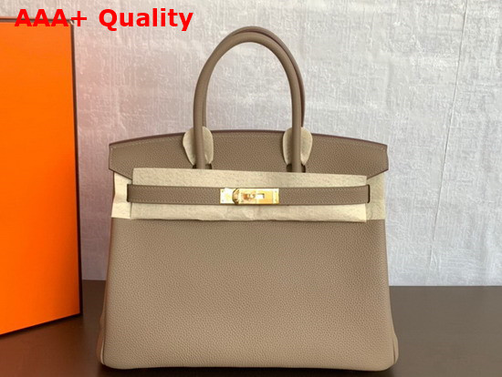 Hermes Birkin 25 Light Grey Togo Calfskin Replica