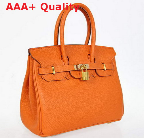 Hermes Fake Hermes Birkin 25 Orange Leather Gold Hardware Replica