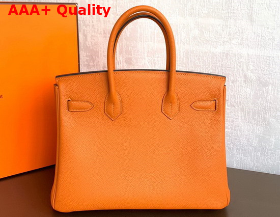 Hermes Birkin 25 Orange Togo Calfskin Replica