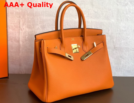 Hermes Birkin 25 Orange Togo Calfskin Replica