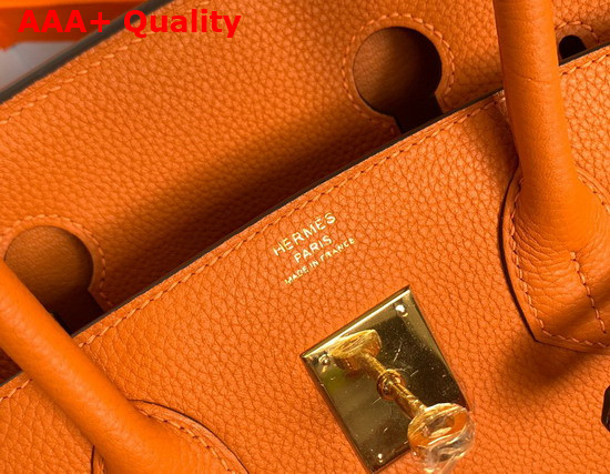 Hermes Birkin 25 Orange Togo Calfskin Replica